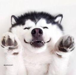 帅气吃瓜群众视频素材,揭秘视频素材中的趣味瞬间