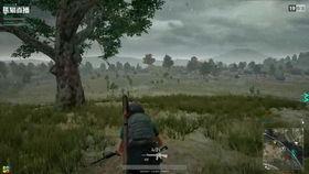 吃鸡吃瓜直播在哪看,一网打尽吃鸡吃瓜精彩瞬间