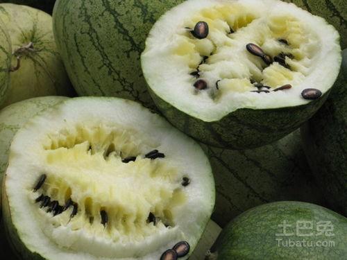 吃籽瓜导致咳嗽,揭秘瓜籽与呼吸道不适的秘密