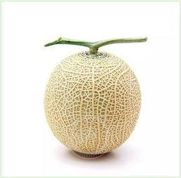 吃瓜群众头像系列