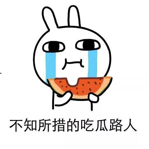 虐文吃瓜稳定发疯,稳定发疯的狂欢之旅