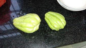 葫芦瓜怎么吃兔儿瓜,创意烹饪新尝试