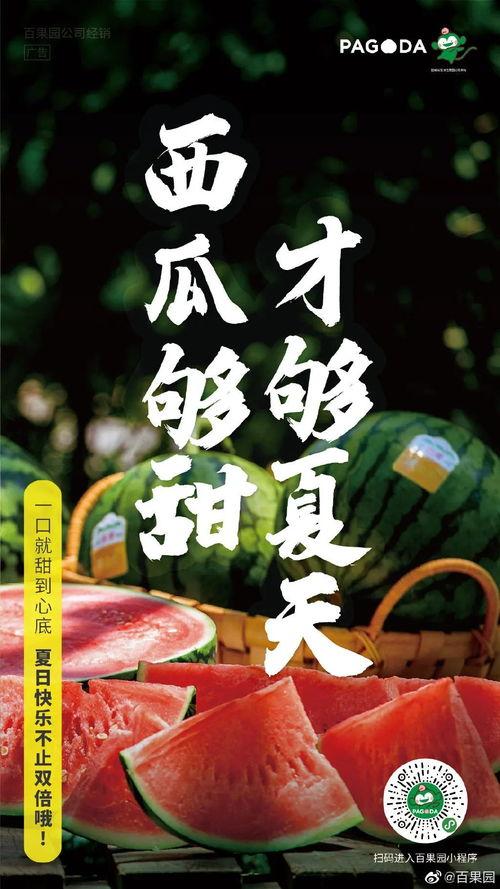 没瓜吃文案,揭秘娱乐圈幕后真相