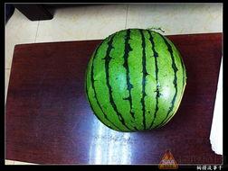 17吃瓜一起免费吃瓜,免费共享瓜界狂欢