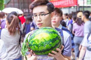 吃瓜园长,一场别开生面的田园生活盛宴