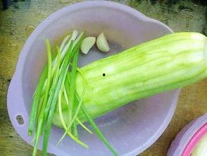 脑中风水瓜可以吃吗,揭秘其食用价值与注意事项 第2张 脑中风水瓜可以吃吗,揭秘其食用价值与注意事项 第2张