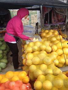 甘肃同城吃瓜,揭秘本地热门事件背后的故事 第1张 甘肃同城吃瓜,揭秘本地热门事件背后的故事 第1张