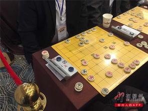 象棋吃瓜少年,揭秘棋坛新秀的崛起之路 第3张 象棋吃瓜少年,揭秘棋坛新秀的崛起之路 第3张