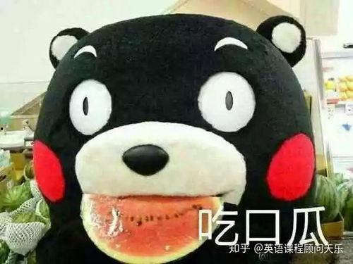 吃瓜什意思,揭秘“吃瓜群众”背后的网络文化现象  第3张