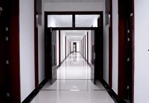 吃瓜图书馆,揭秘娱乐圈背后的故事与真相 第2张 吃瓜图书馆,揭秘娱乐圈背后的故事与真相 第2张