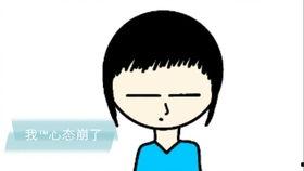 澳洲吃瓜小叮当  第1张