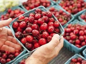 澳洲吃瓜小叮当  第3张