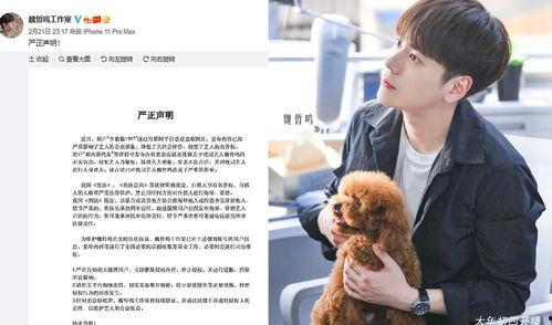 吃瓜魏哲鸣  第3张