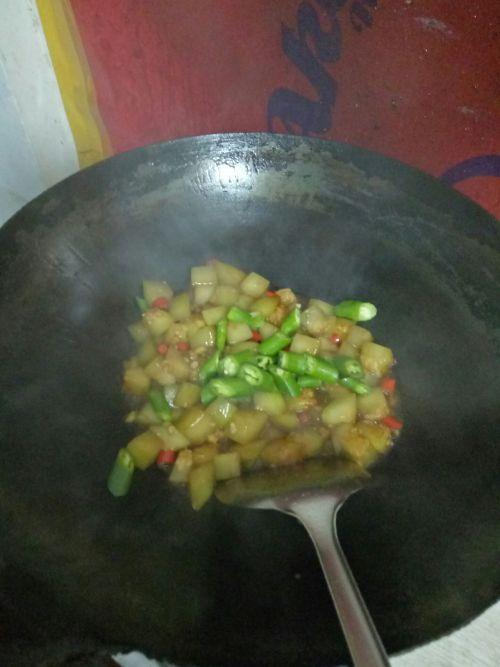 做菜吃的葫芦瓜  第1张