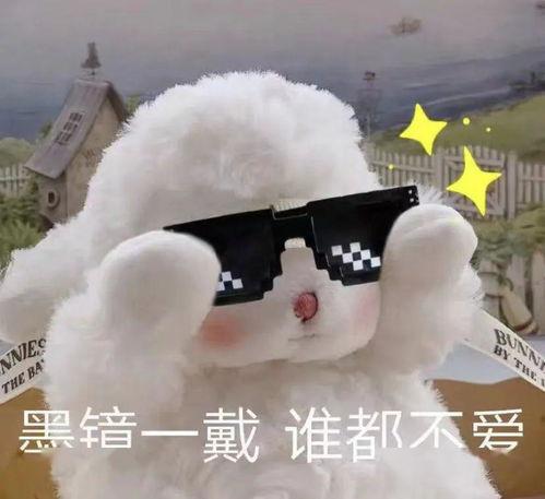 羊吃瓜表情包 第1张 羊吃瓜表情包 第1张