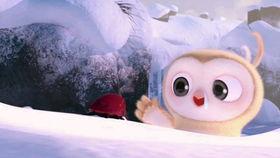 吃瓜视频小乔,小乔的瓜田奇遇记  第2张