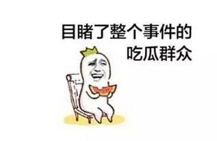 作者 吃瓜群众,吃瓜群众视角下的社会百态  第3张