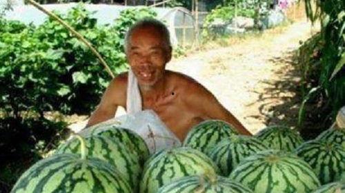 路边吃瓜的人,见证人间百态 第3张 路边吃瓜的人,见证人间百态 第3张