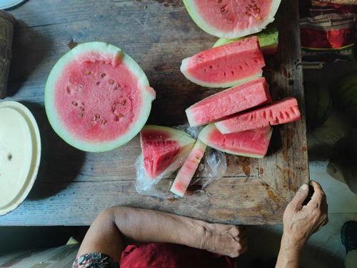 吃瓜没洗,健康隐患知多少? 第2张 吃瓜没洗,健康隐患知多少? 第2张