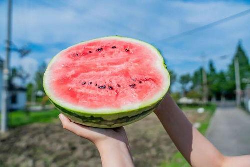 吃瓜西吗,揭秘娱乐圈背后的那些事儿 第3张 吃瓜西吗,揭秘娱乐圈背后的那些事儿 第3张