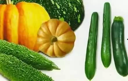 网上吃瓜都有哪些,揭秘虚拟世界的围观文化 第3张 网上吃瓜都有哪些,揭秘虚拟世界的围观文化 第3张