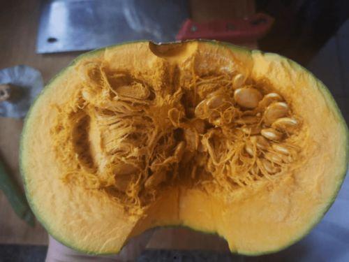 架子瓜怀孕可以吃  第2张